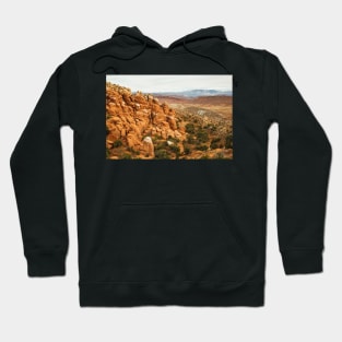 Moab Views Hoodie